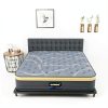 Elfreda 12 Inch Pillow Top Hybrid Mattress Grey Yellow Full Size-5